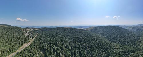 DJI_3682.JPG